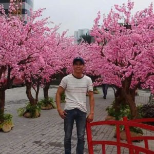 Cây Hoa Anh Đào 01