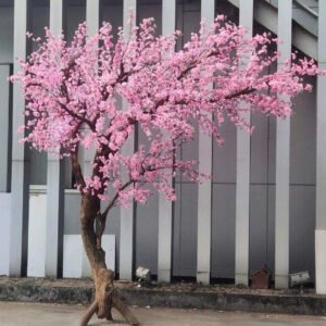 Cây Hoa Anh Đào 11