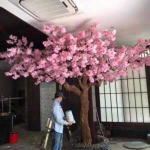 Cây Hoa Anh Đào 14