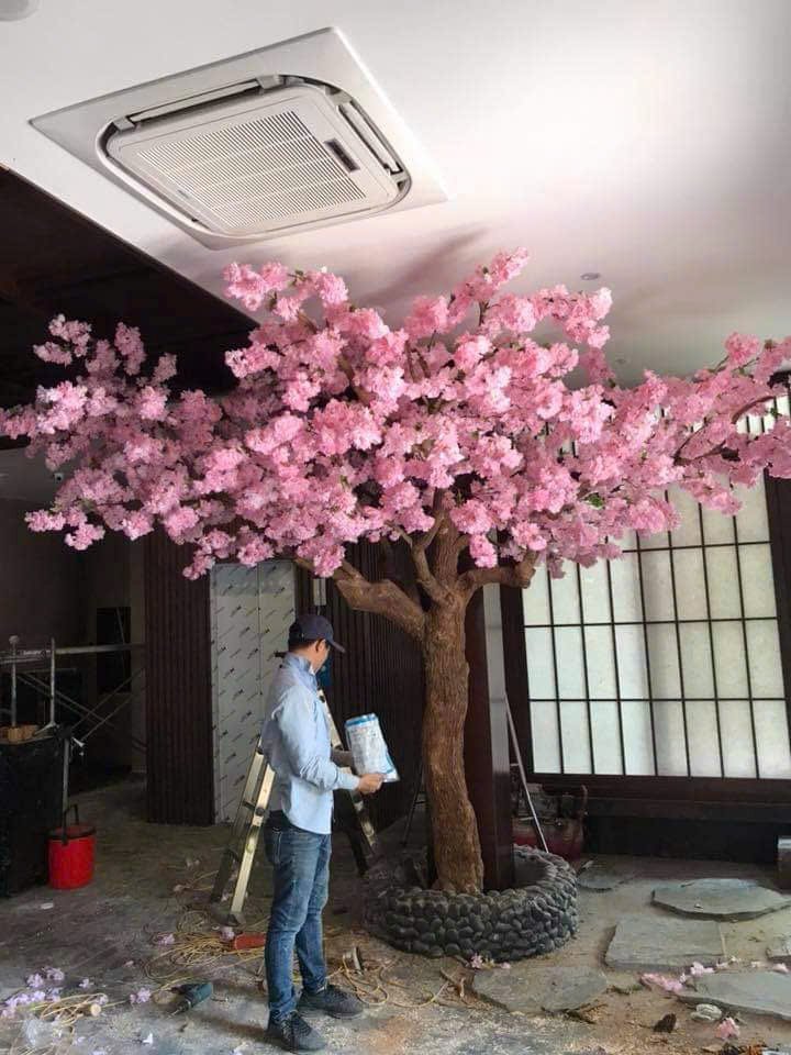 anh dao 14 - Giới thiệu