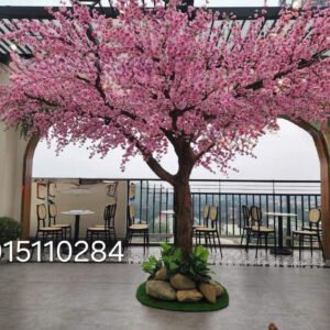 Cây Hoa Anh Đào 15