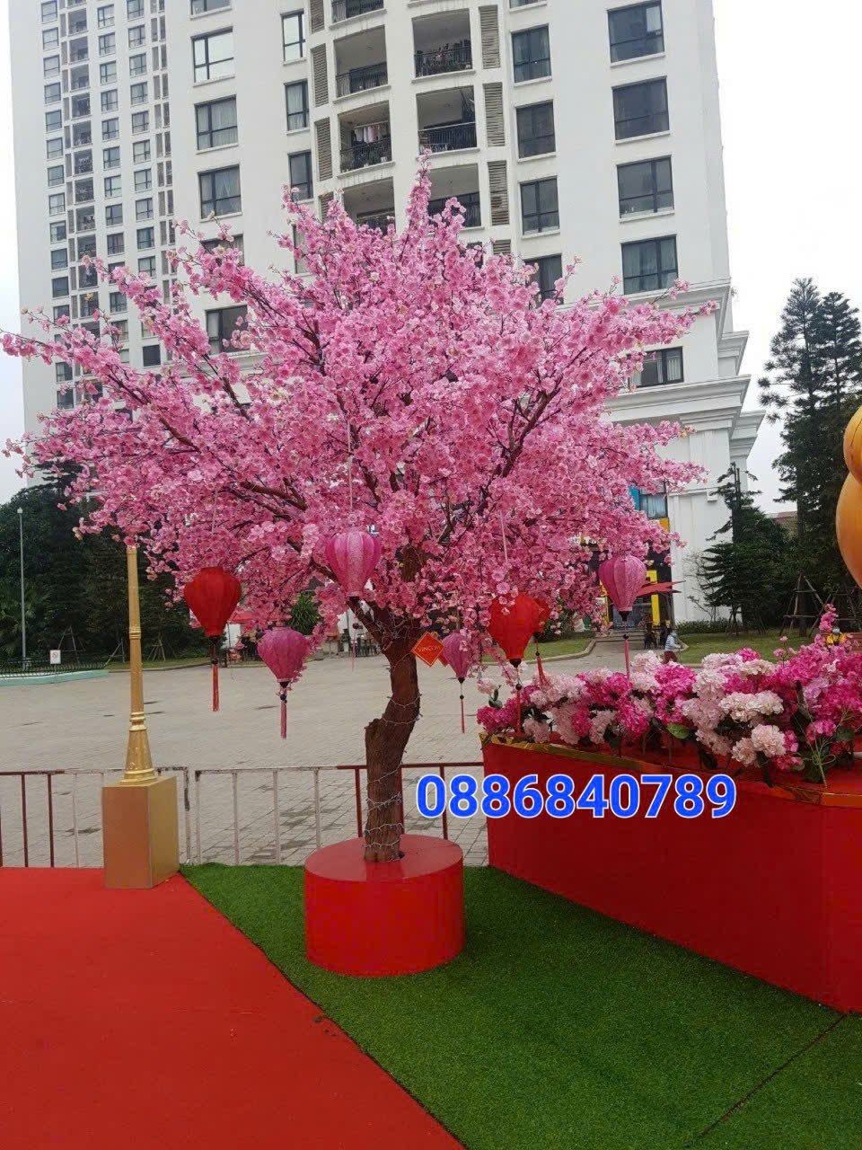 anh dao 16 - Giới thiệu