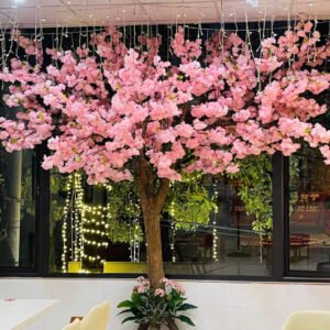 Cây Hoa Anh Đào 03