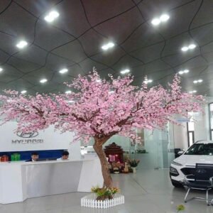 Cây Hoa Anh Đào 05