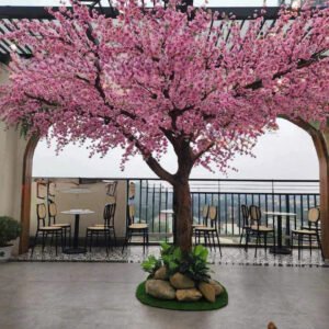 Cây Hoa Anh Đào 07