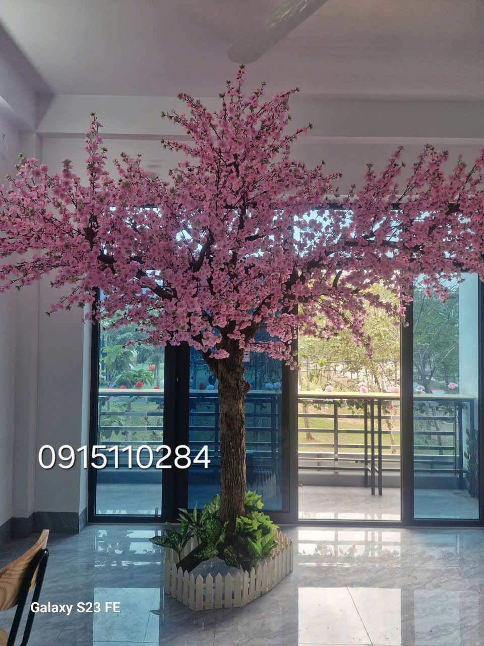 Cây Hoa Anh Đào 08