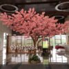 anh dao 9 - Cây Hoa Anh Đào 09
