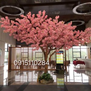 Cây Hoa Anh Đào 09