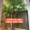 cay xanh gia 04 - Cây Xanh Giả 04