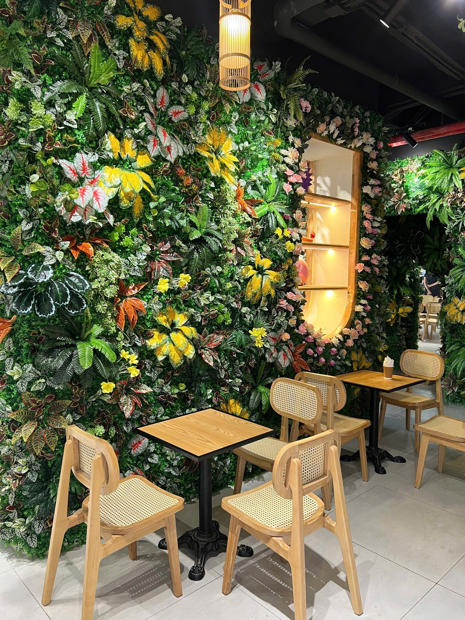 tuong cay gia 1 1 - Trang chủ